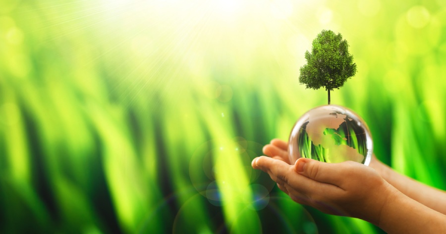 Celebrating Earth Day: How Investing in IP can be an Investment in the ...